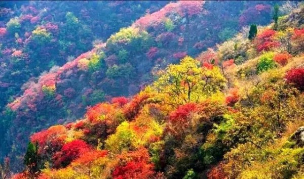 青州泰和山风景区