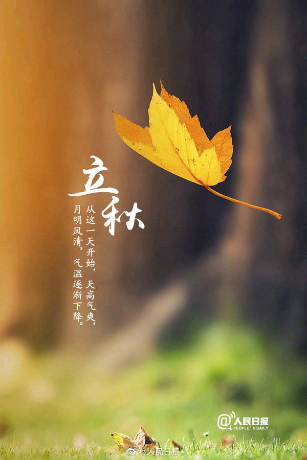 今日立秋