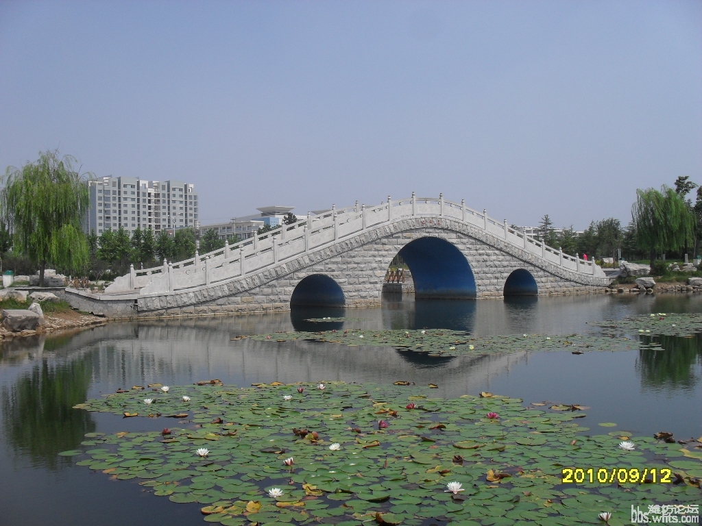 南湖植物园 我爱摄影 潍坊论坛 潍坊网|潍坊社区