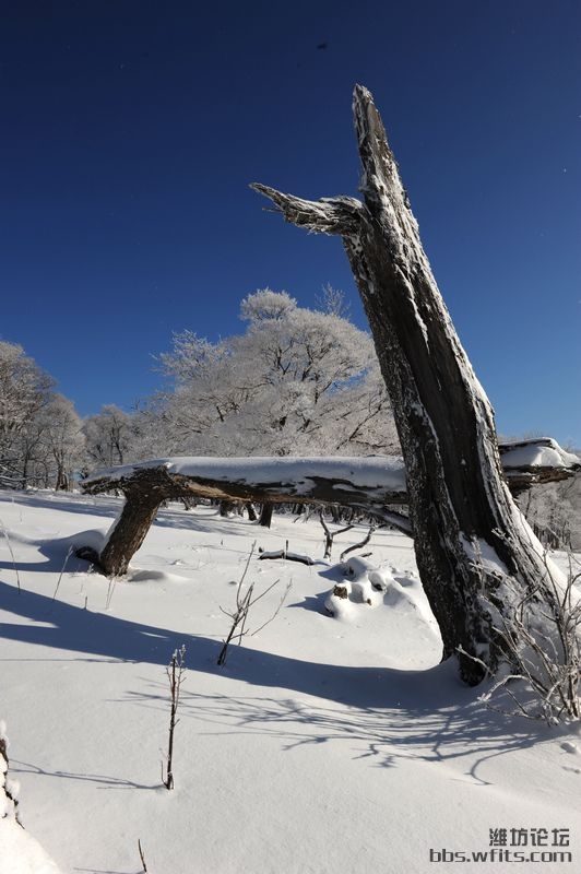 天山3.jpg