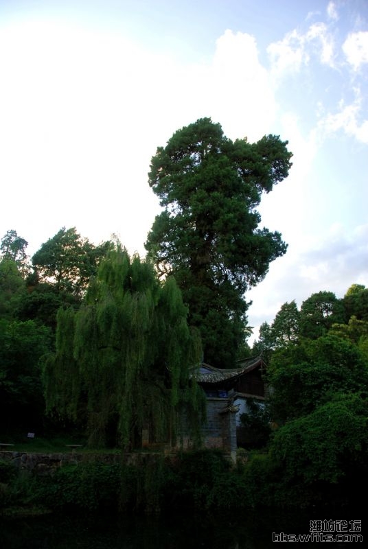 龙泉寺.jpg