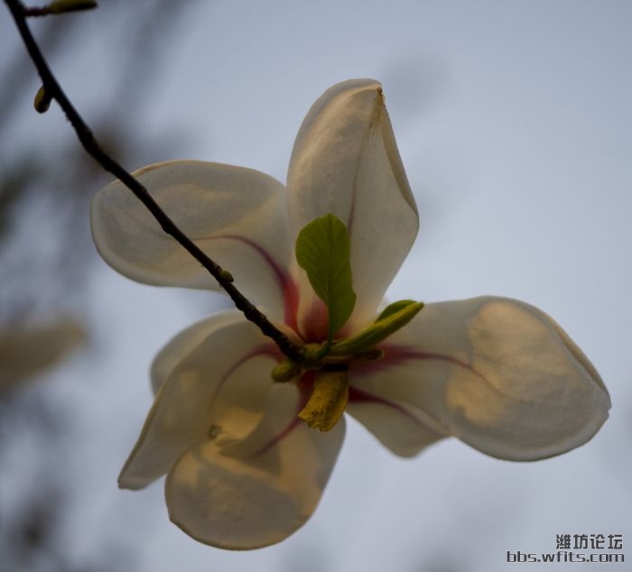 DSC_8385_缩小大小.jpg