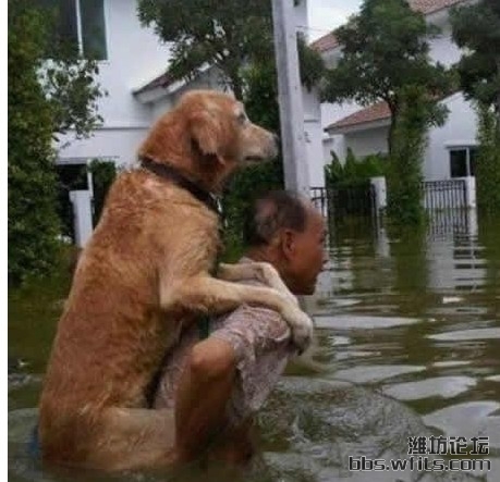QQ截图20120416145332.jpg