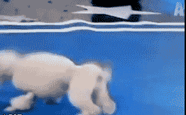 81362014jw1ds5tr3lbdug[1].gif
