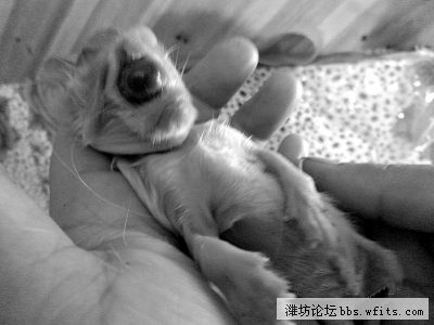 201253102728.jpg