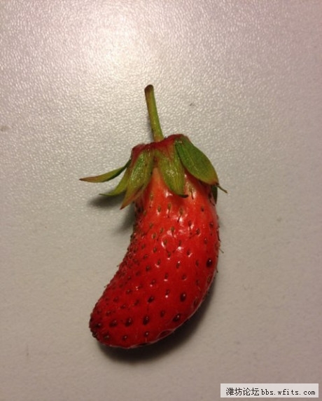 2012511132652.jpg