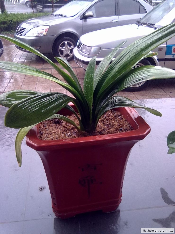 20120705021.jpg