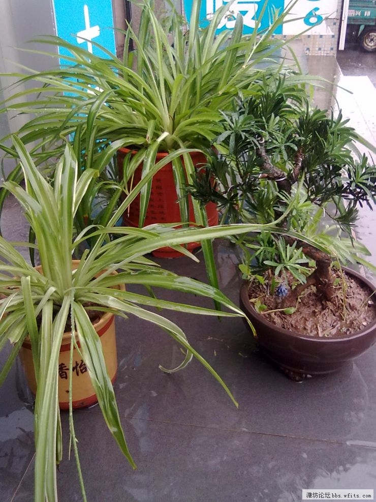 20120705022.jpg