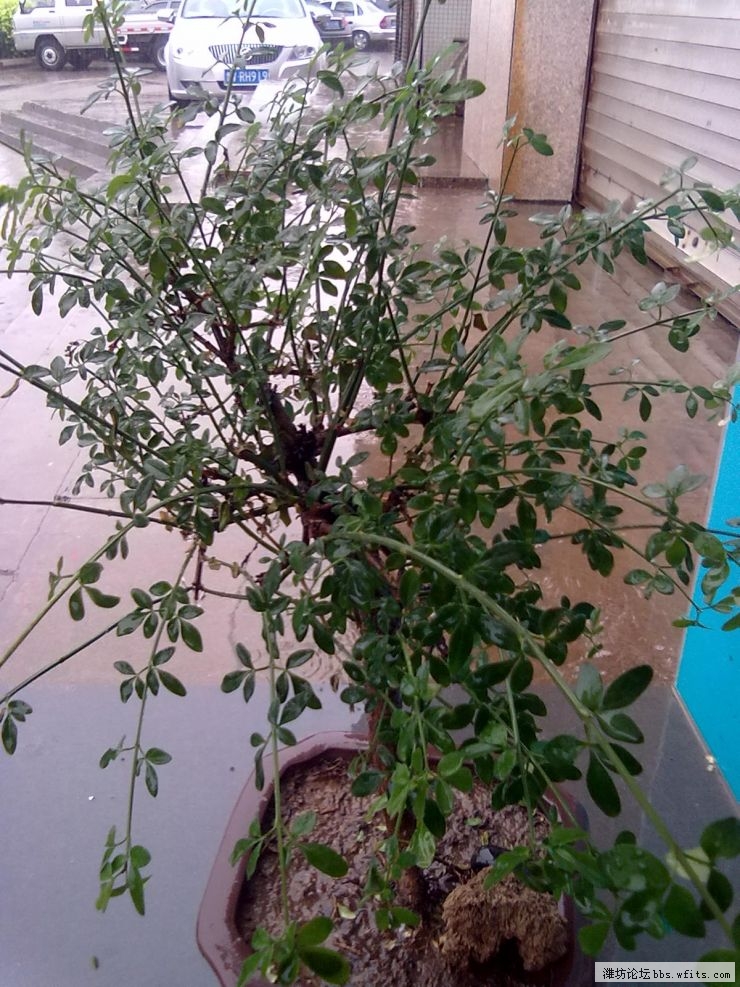 20120705023.jpg