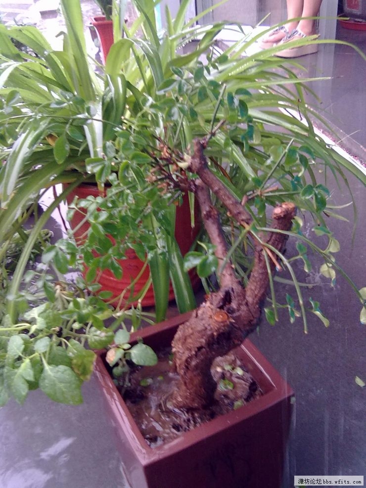 20120705024.jpg