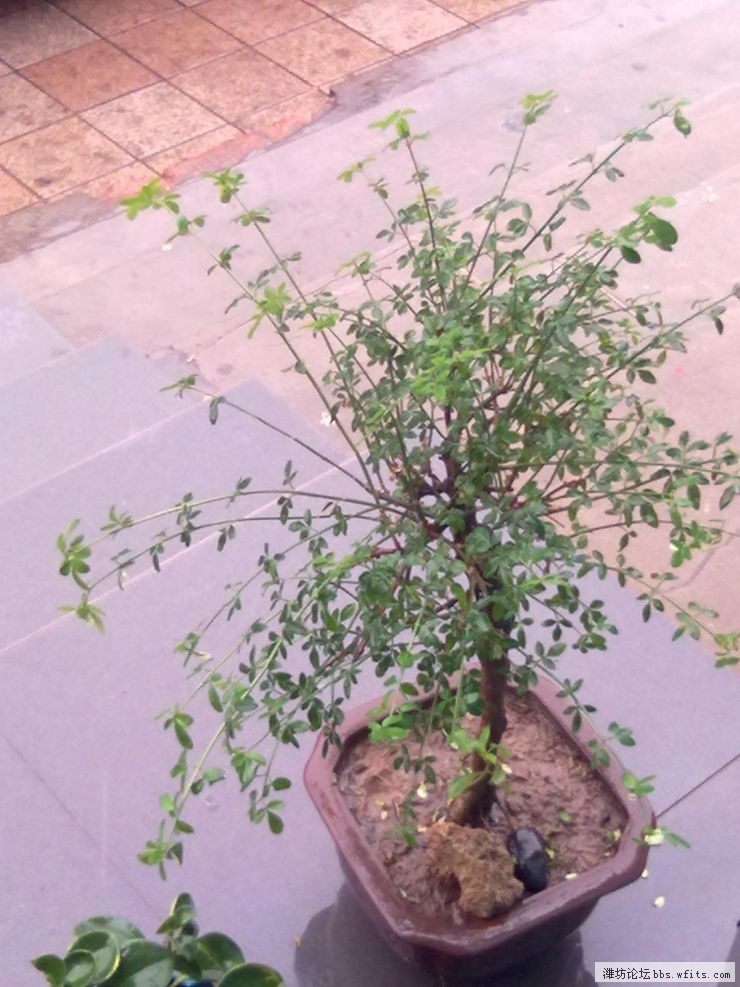 20120705025.jpg