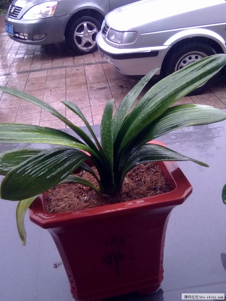 20120705026.jpg