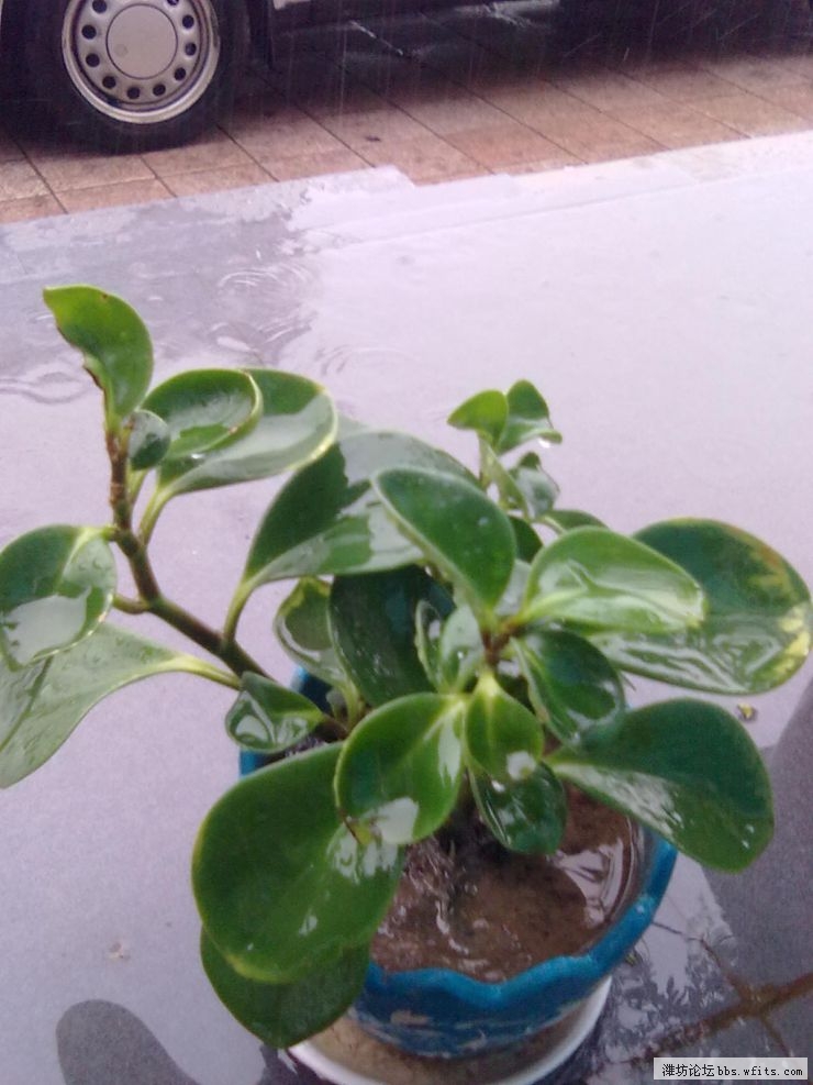 20120705027.jpg
