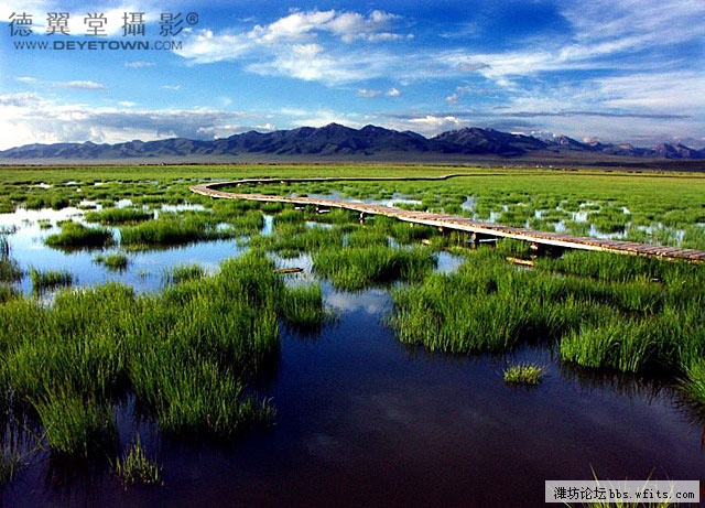 花湖风景照2.jpg