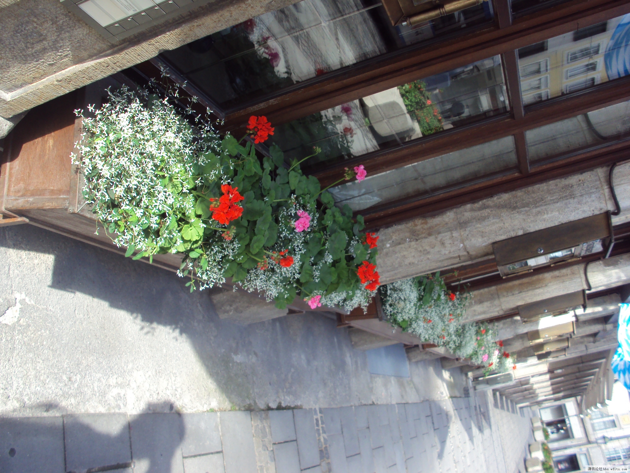 DSC01074.JPG