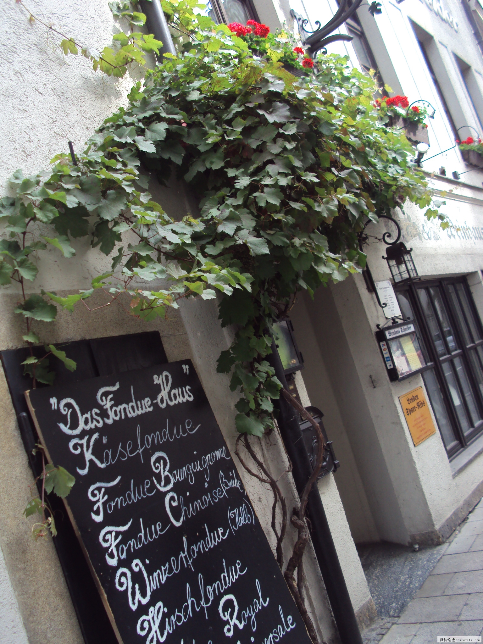 DSC01113.JPG