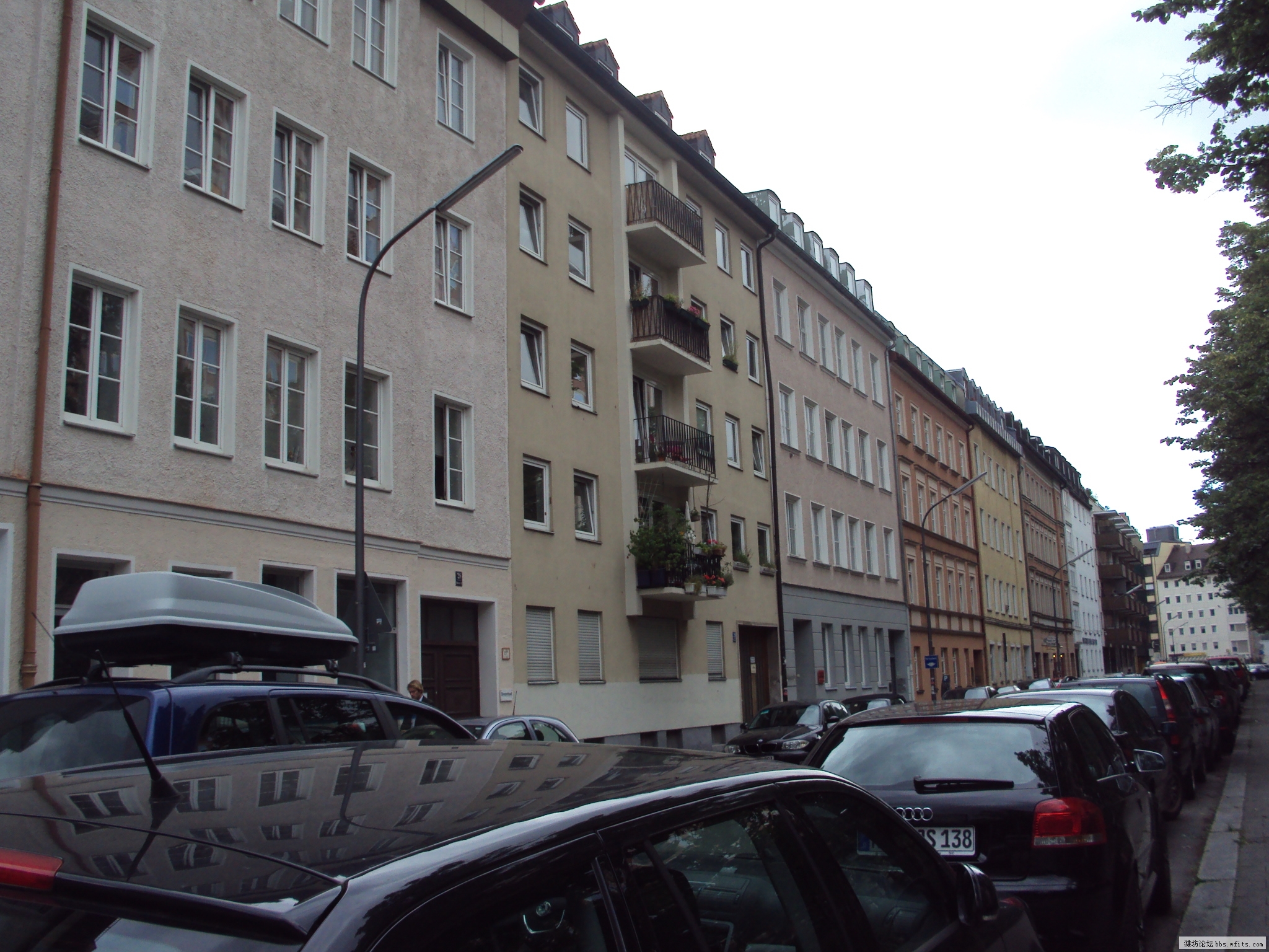 DSC01137.JPG