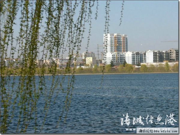 南湖春光3（密州人摄）.jpg