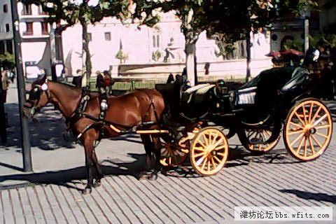 IMG_0138.JPG