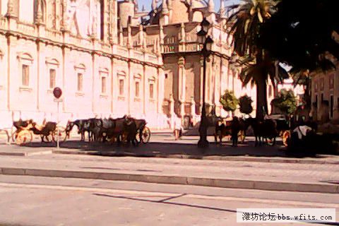IMG_0173.JPG