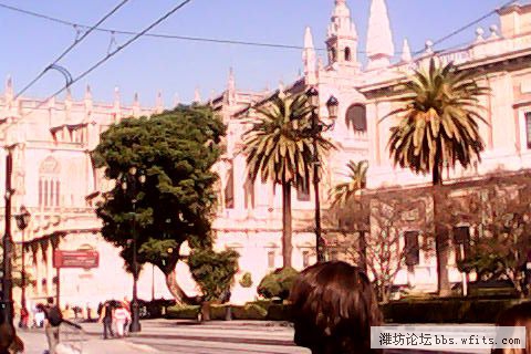 IMG_0169.JPG