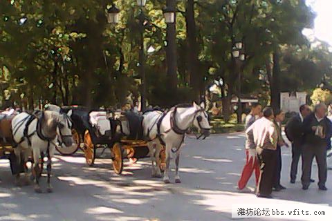 IMG_0139.JPG