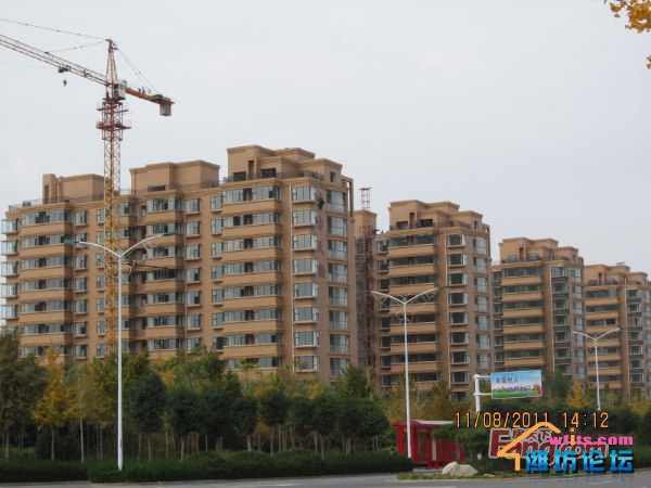 1323224288127_000.jpg