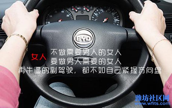 女人开车2.jpg