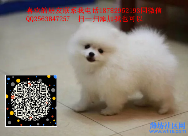 微信图片_20170811162748 - 副本.png