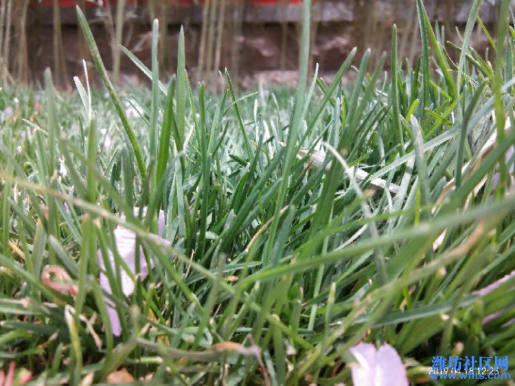 IMG_20190418_122557.jpeg