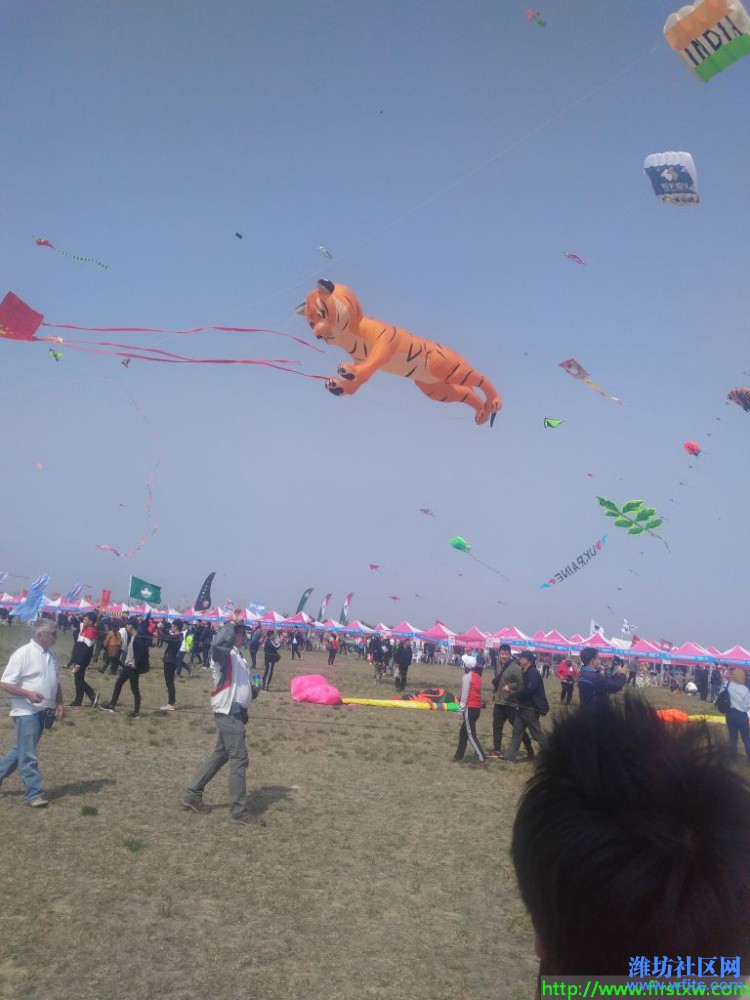 IMG_20190420_095625R.jpg