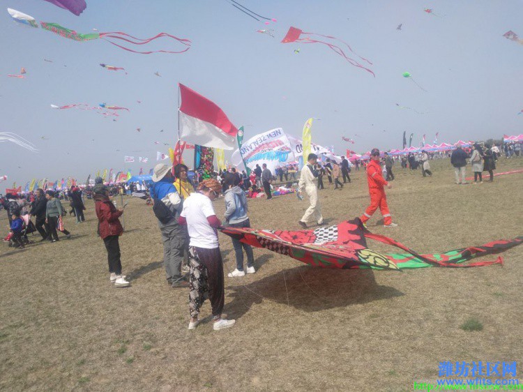 IMG_20190420_095755R.jpg