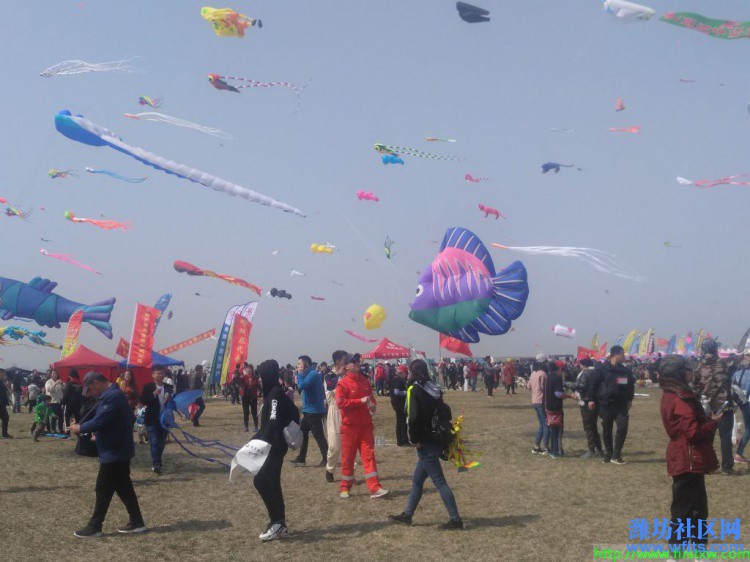 IMG_20190420_095745R.jpg