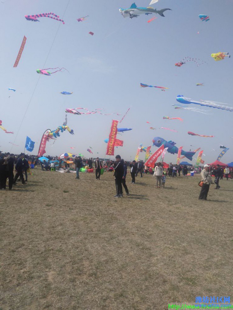 IMG_20190420_095813R.jpg