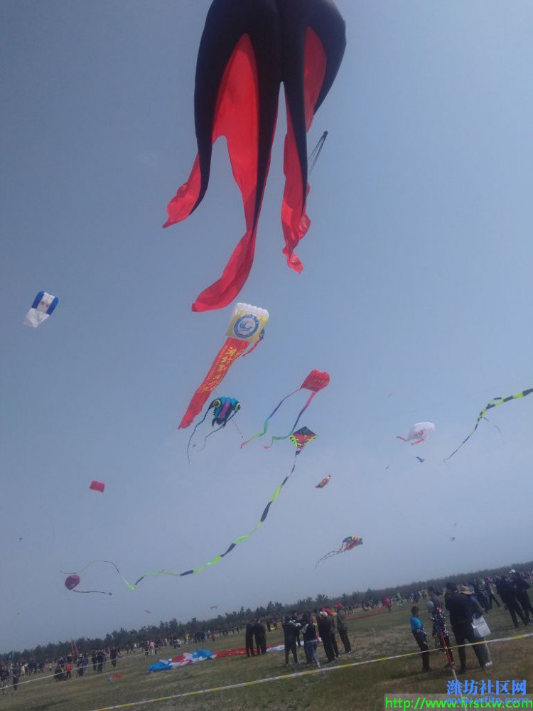 IMG_20190420_095923R.jpg