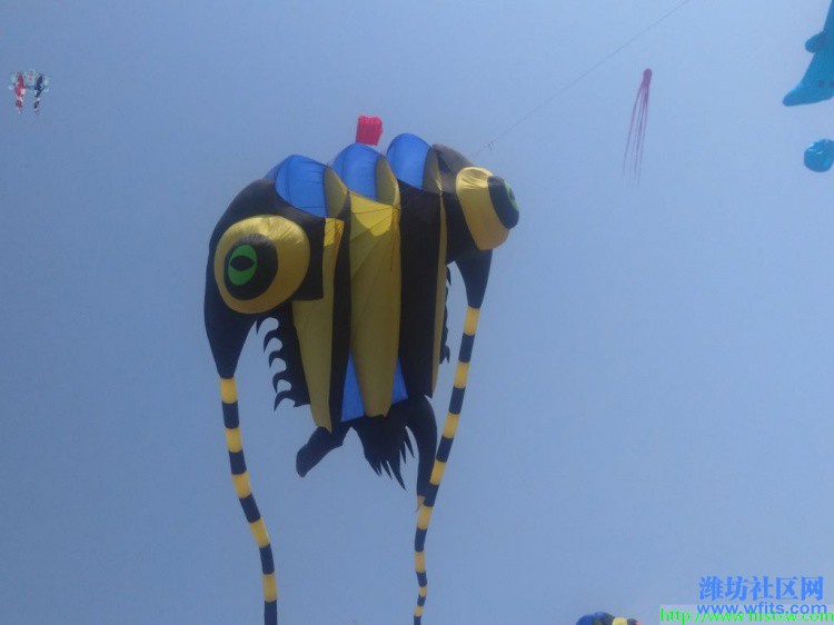 IMG_20190420_100114R.jpg
