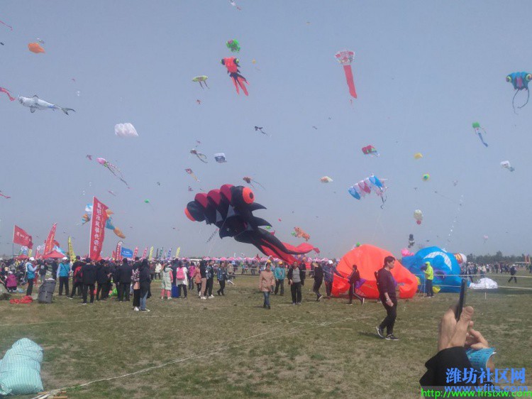 IMG_20190420_100111R.jpg