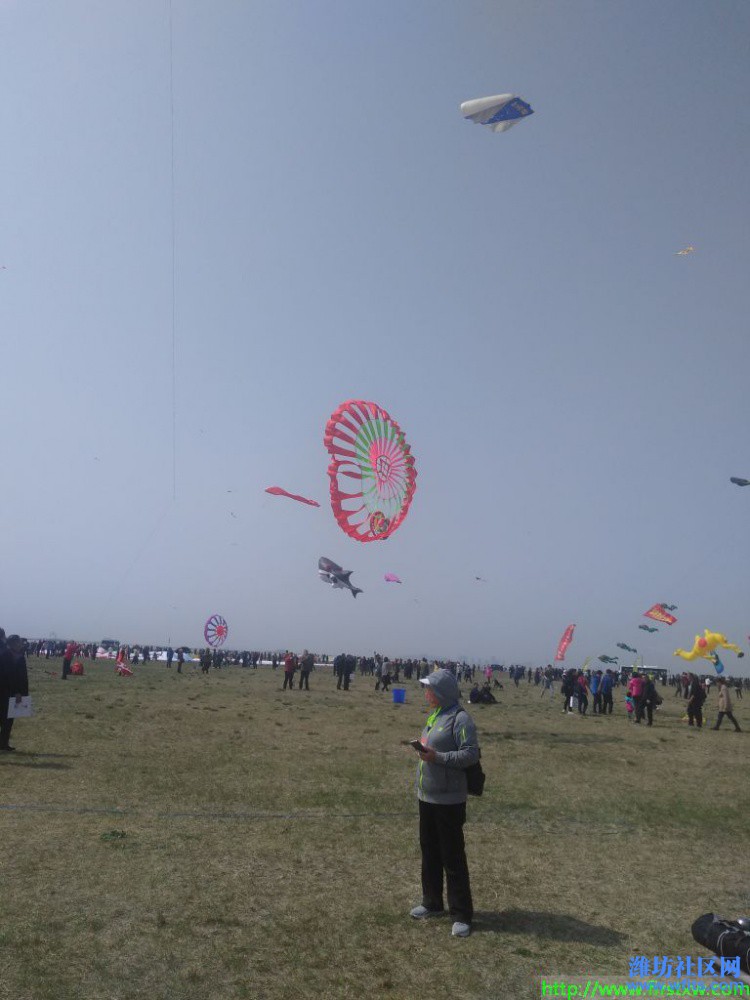 IMG_20190420_100403R.jpg