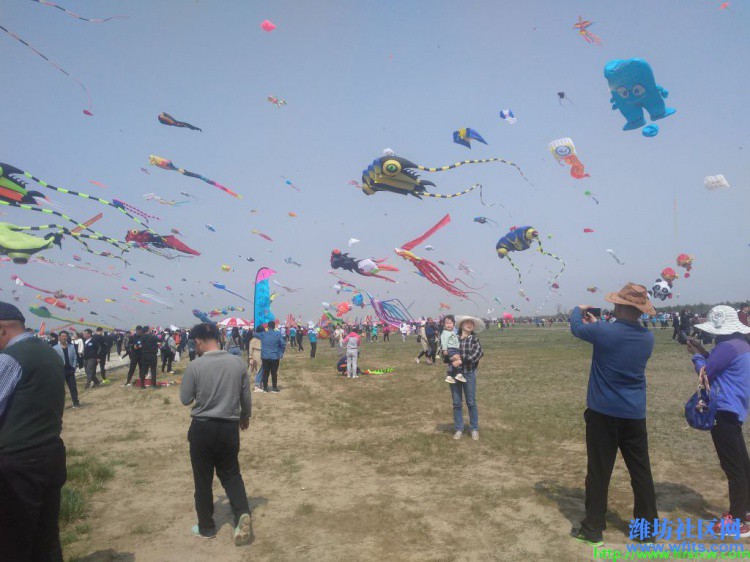 IMG_20190420_100503R.jpg
