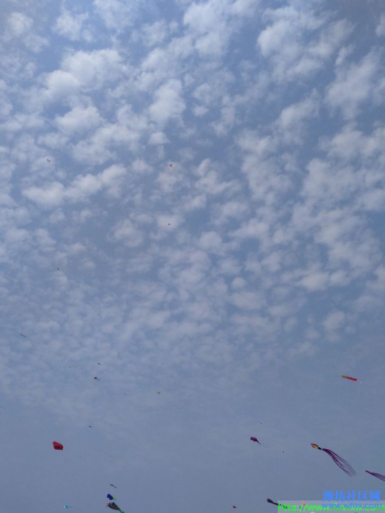 IMG_20190420_103413R.jpg