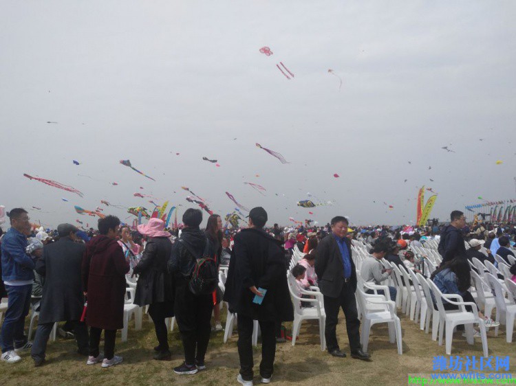 IMG_20190420_112151R.jpg