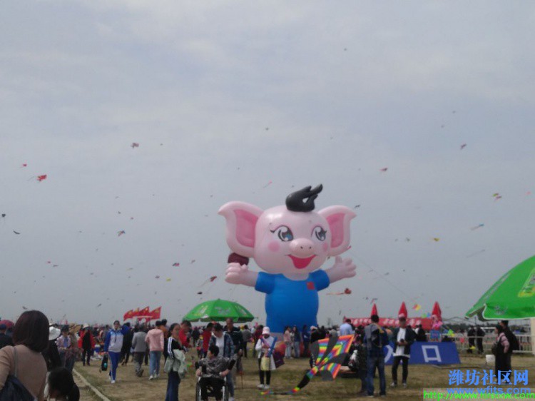 IMG_20190420_130855R.jpg