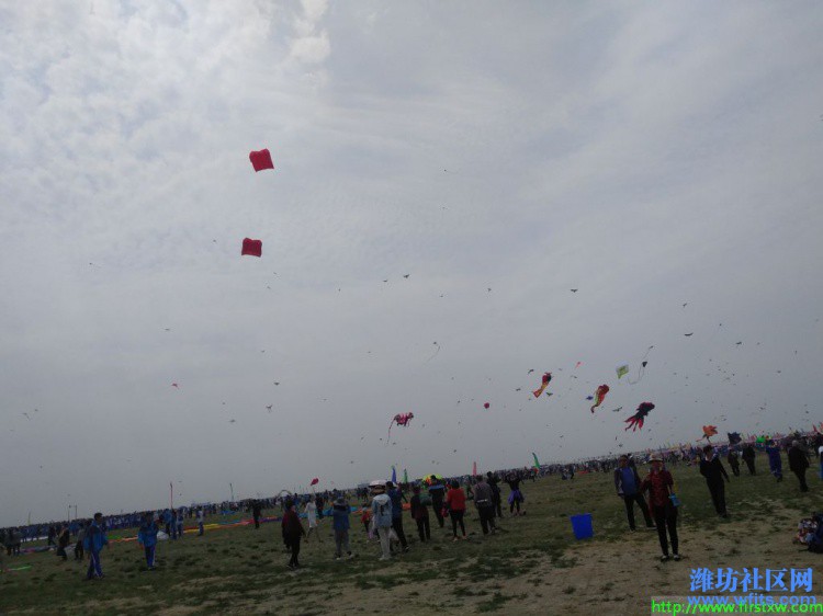 IMG_20190420_131330R.jpg