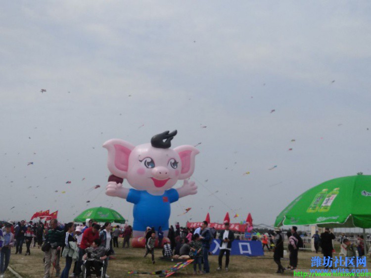 IMG_20190420_130858R.jpg
