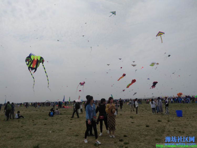 IMG_20190420_131500R.jpg