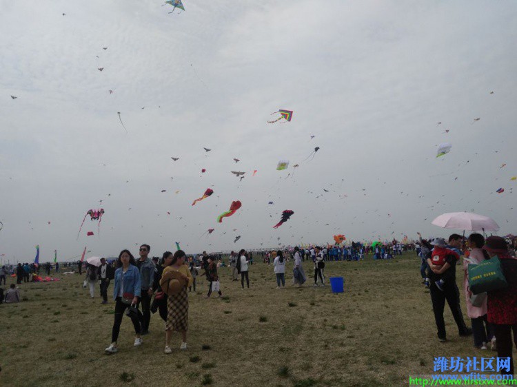 IMG_20190420_131458R.jpg