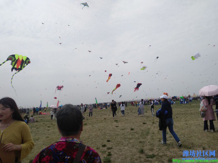 IMG_20190420_131506R.jpg