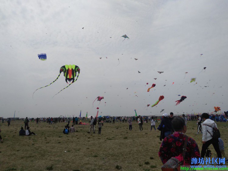 IMG_20190420_131509R.jpg