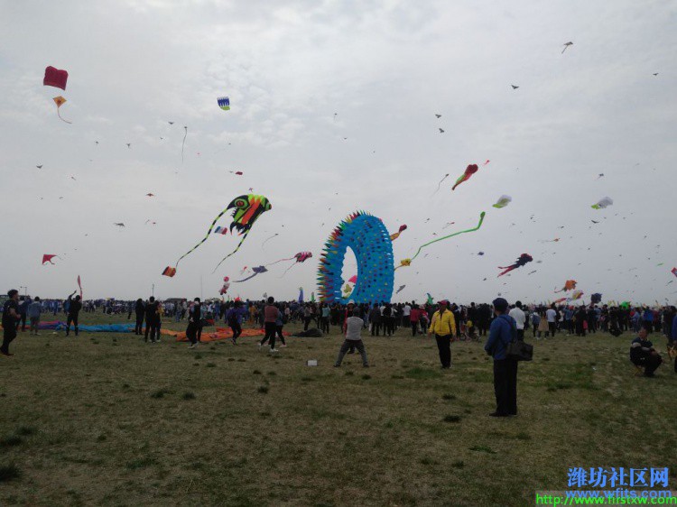 IMG_20190420_132840R.jpg