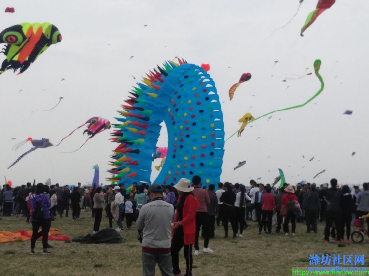 IMG_20190420_132845R.jpg
